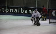 hclm_2012-2013_sensler_000