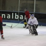 hclm_2012-2013_sensler_001
