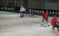 hclm_2012-2013_sensler_003