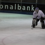 hclm_2012-2013_sensler_006