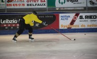 hclm_2012-2013_sensler_018