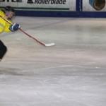 hclm_2012-2013_sensler_023