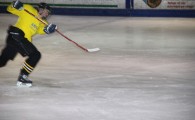 hclm_2012-2013_sensler_023