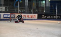 hclm_2012-2013_sensler_025