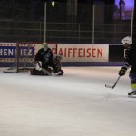 hclm_2012-2013_sensler_026
