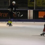 hclm_2012-2013_sensler_030