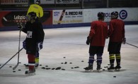 hclm_2012-2013_sensler_048