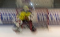 hclm_2012-2013_sensler_829