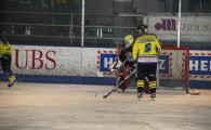 hclm_2012-2013_sensler_843