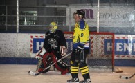 hclm_2012-2013_sensler_846