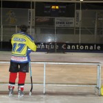 hclm_2012-2013_sensler_855