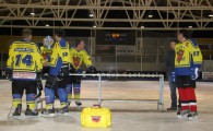 hclm_2012-2013_sensler_858