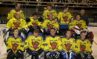 hclm_2012-2013_sensler_861