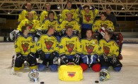 hclm_2012-2013_sensler_862