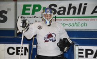 hclm_2012-2013_sensler_924
