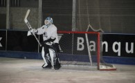 hclm_2012-2013_sensler_941