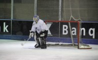 hclm_2012-2013_sensler_942