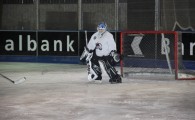 hclm_2012-2013_sensler_945