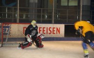 hclm_2012-2013_sensler_948