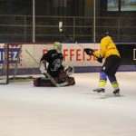 hclm_2012-2013_sensler_949