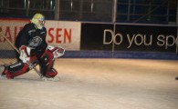 hclm_2012-2013_sensler_952