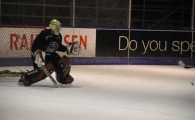 hclm_2012-2013_sensler_953
