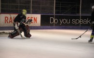 hclm_2012-2013_sensler_954