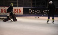 hclm_2012-2013_sensler_955