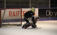 hclm_2012-2013_sensler_958