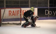 hclm_2012-2013_sensler_959