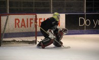 hclm_2012-2013_sensler_960