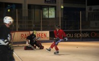 hclm_2012-2013_sensler_964