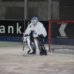 hclm_2012-2013_sensler_967