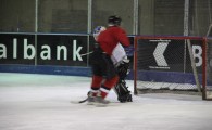 hclm_2012-2013_sensler_969