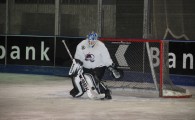 hclm_2012-2013_sensler_972