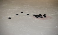 hclm_2012-2013_sensler_978