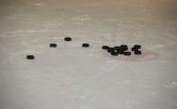 hclm_2012-2013_sensler_980