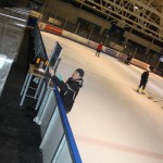 hclm_2012-2013_sensler_988