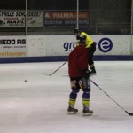 hclm_2012-2013_sensler_993