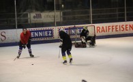 hclm_2012-2013_sensler_995