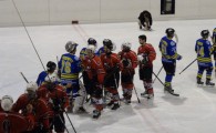 hclm_2014_01_Lausanne4clubs_140