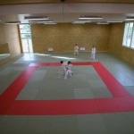 hclm_dojo