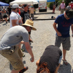 hclm_2015_petanque_044