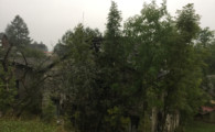 hclm_01-10-2016_ambri_92
