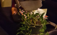 hclm_01-10-2016_champer_30